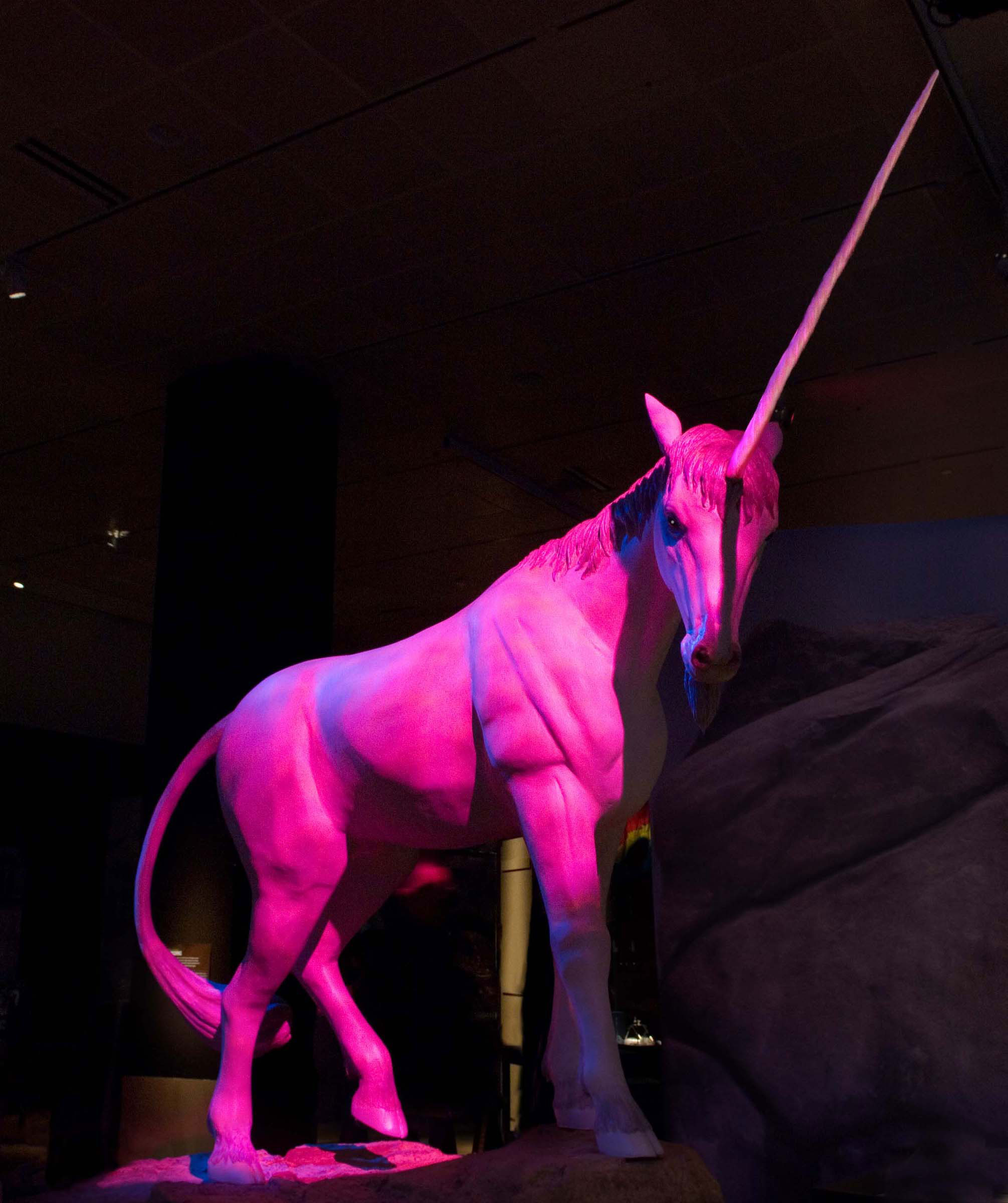 This white unicorn bathed in violet light, 10 feet long from tail to tip of horn, is featured in the special exhibition. © AMNH/D. Finnin