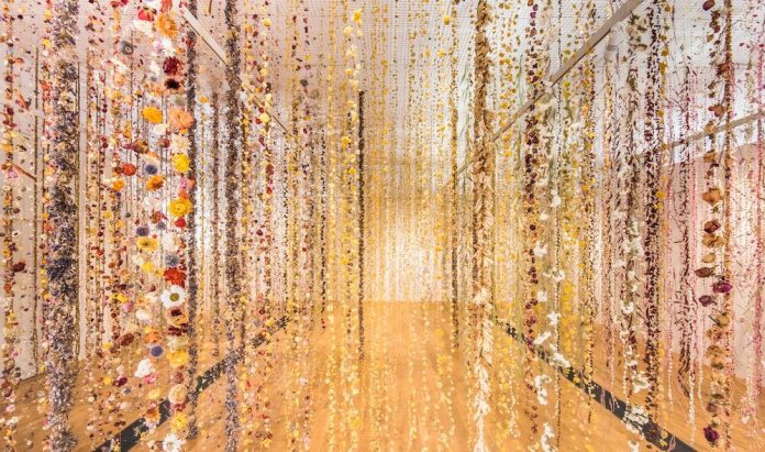 Life in Death by Rebecca Louise Law