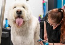 Not exactly ‘ruffing’ it