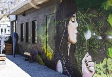 A ‘grey hare’ you’ll love