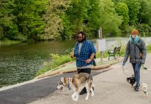 New light on dark waters