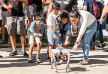 Confluence Festival returns with fun and engaging activities for kids of all ages.