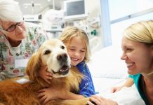 Unleash the love and help ‘Therapy Dogs’ reach goal