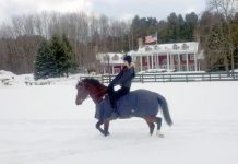 Bliss at Black Star Farms