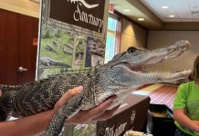 A fang-tastic day at Downtown Market