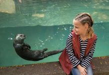 In otter news… John Ball Zoo opens with a splash