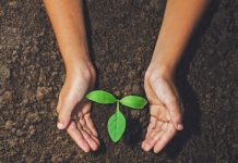 Creston plans Earth Day celebration