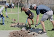 Earth Day, Arbor Day & Tree City USA
